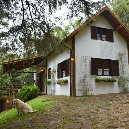 クーニャ Chalet Da Hortensiasヴィラ エクステリア 写真