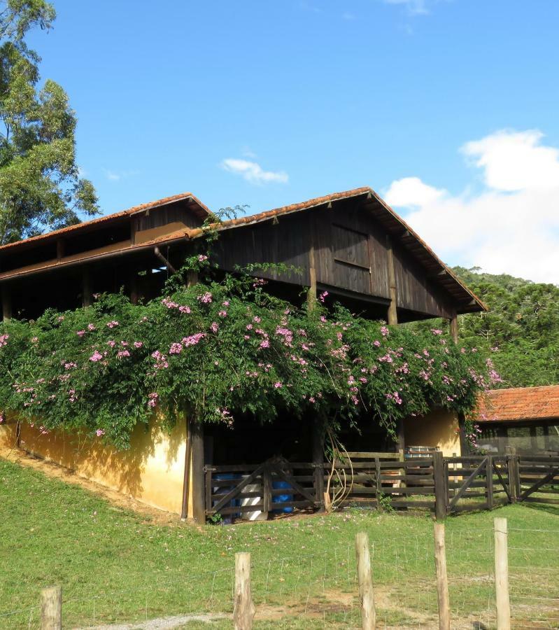 クーニャ Chalet Da Hortensiasヴィラ エクステリア 写真