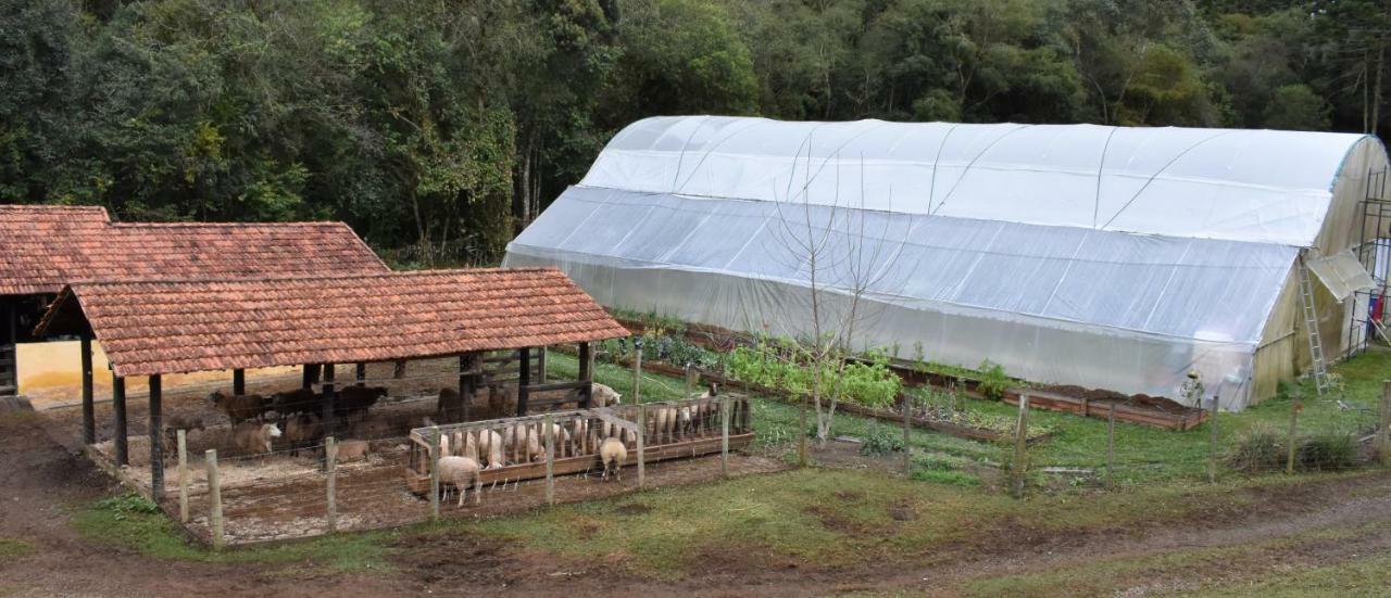 クーニャ Chalet Da Hortensiasヴィラ エクステリア 写真